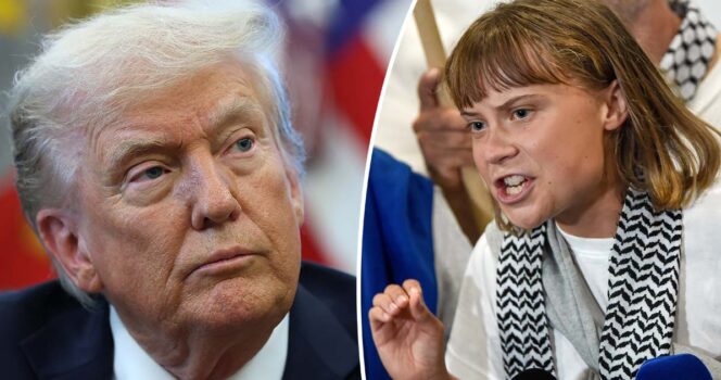 Greta Thunberg’s brutal response to Donald Trump amid ‘anger management issues’ comment
