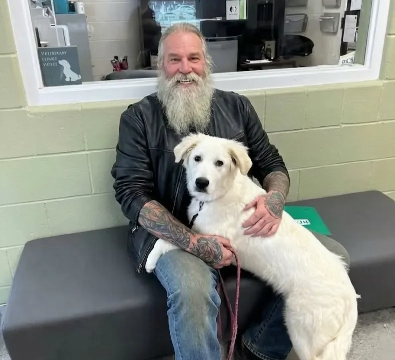 He Stopped His Harley at 3 AM for a Cry in the Dark and Found a Dying Dog With a Child’s Prayer Tied Around Her Neck